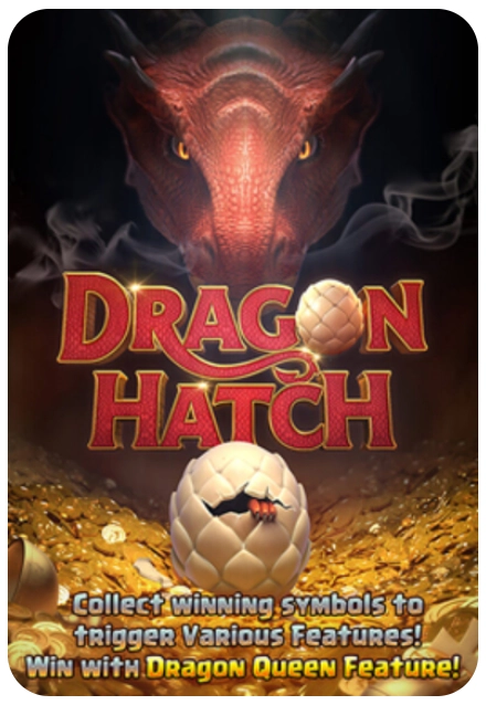 dragon hatch game at rollbits