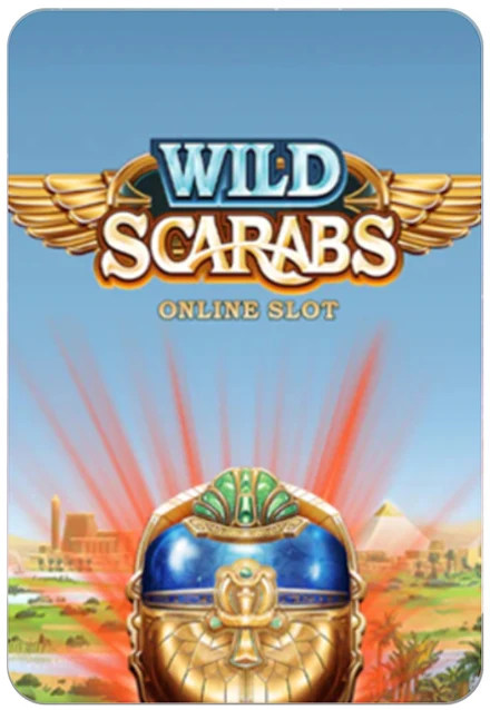 wild scarabs game at rollbits